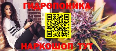 индика Гусь-Хрустальный