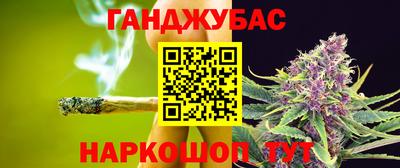 индика Гусь-Хрустальный