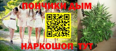 индика Гусь-Хрустальный