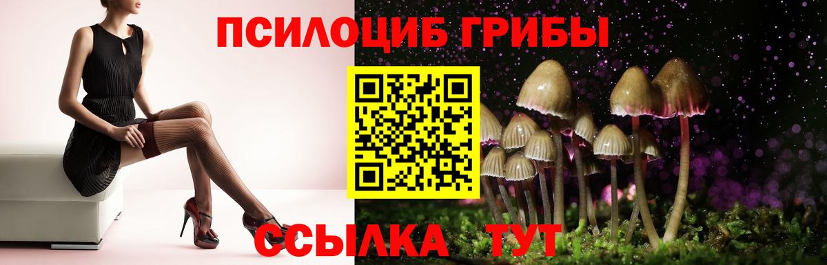 Псилоцибиновые грибы Psilocybe  цены наркотик  Павловский Посад  Галлюциногенные грибы мухоморы 